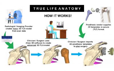 True Life Anatomy – How it Works