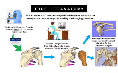 Introducing True Life Anatomy Software